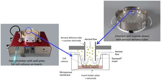 Particle deposition chamber: Electrostatic particle deposition